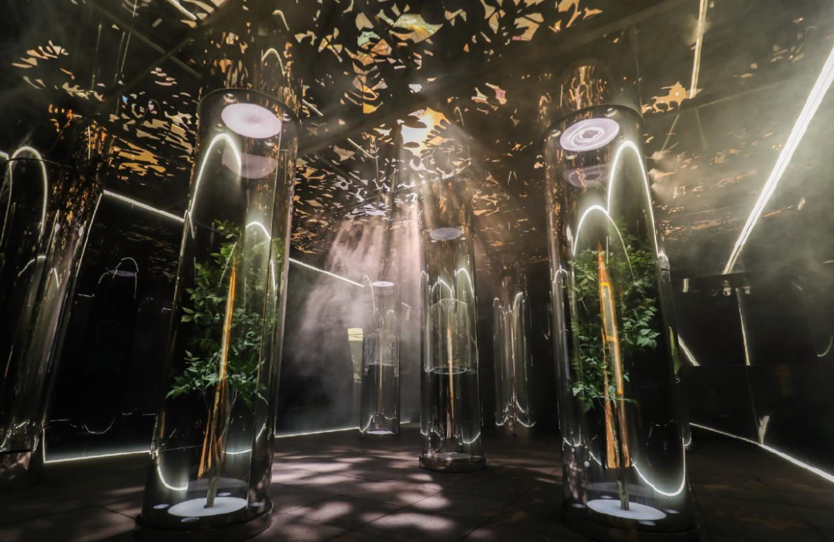 Beyond the Visible Spectrum: How We Engineer Emotional Resonance